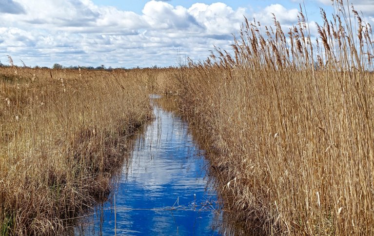 DRENERING: Viktig for agronomi og miljø. Foto: pxhere