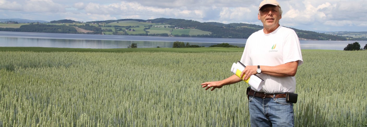 Jon Arne Dieseth, mannen bak kornsorter som Seniorita og Mirakel, mener at landbruket vil tjene på å ta vare på gener fra gamle kornsorter, men også å kombinere disse med nye, for landbruket er avhengig av at foredlere utvikler nye sorter. Foto: Eva Pauline Hedegart