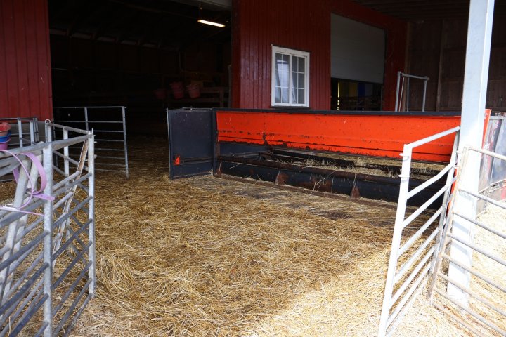 Sauefjøset har halmtalle, luftegård med tak og islandsfôrhekker. Foto: Rosann Johanssen