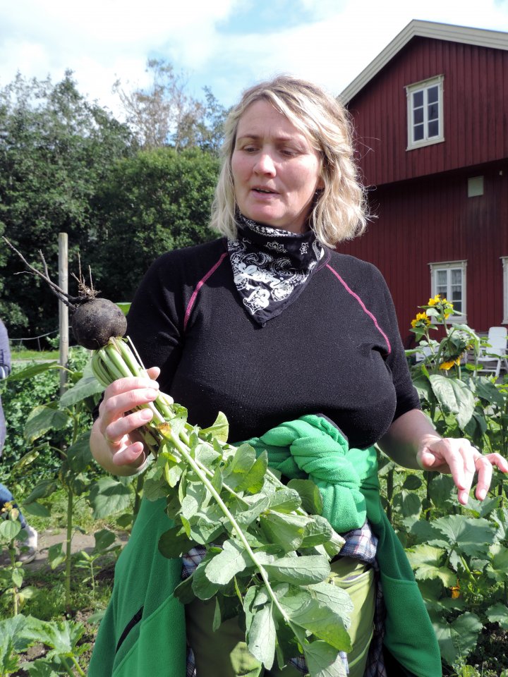 Astrid Sæther driver garden sammen med mannen Halfdan Stendahl og er engasjert av andelslandbruket som gartner. Foto: Kirsty McKinnon