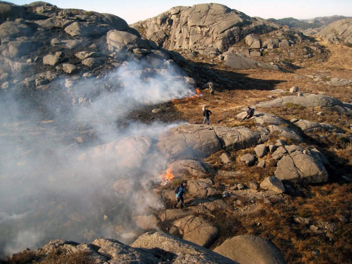 Kontrollert brenning av lyng gir gode beiter og er dessuten viktig for å hindre ukontrollerte branner. Her brennes det mot vinden på Ognaheia i Rogaland. Foto: Ane Harestad